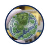 BAKTERIER / VIRUS